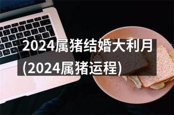 2024属猪结婚大利月(2024属猪运程)