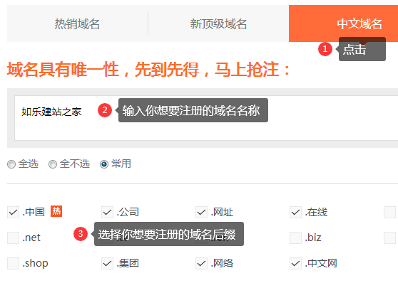 如何注册中文域名?