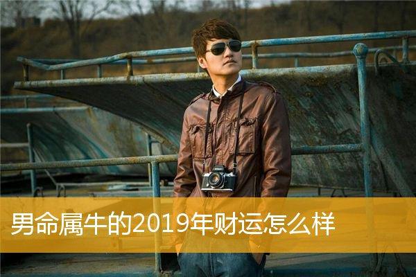 男命属牛的2023年财运怎么样