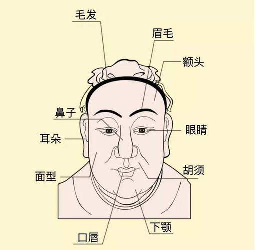 从面相五官看你的优缺点_生辰八字算命网